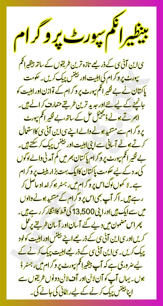 Benazir Income Support Programme Latest Methods To Check Eligibility And Balance Via CNIC