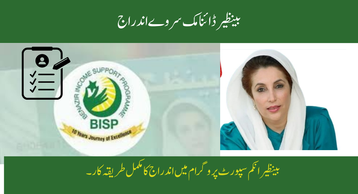 BISP Dynamic Survey in May 2025