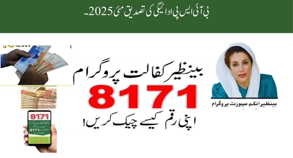 BISP 8171 Payment Verification