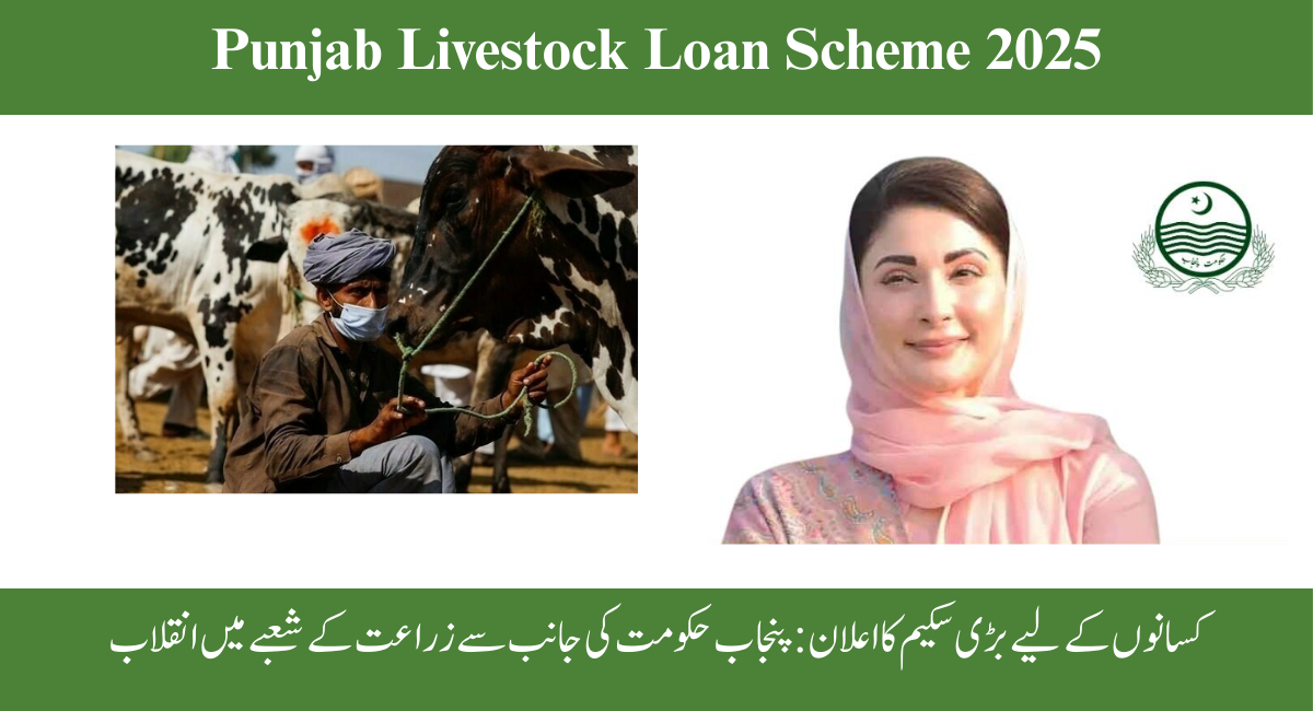 Punjab Livestock Loan Scheme 2025